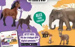 trinkgut Schleich Tierfiguren Angebot