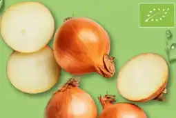 Aldi Nord Bio Smiley Zwiebeln Angebot