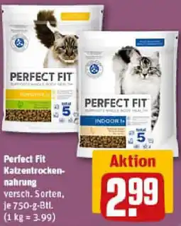 REWE Perfect Fit Katzentrockennahrung Angebot
