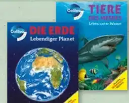 Aldi Nord Galileo Wissensbücher Angebot