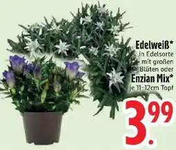 Edeka Edelweiß oder Enzian Mix Angebot