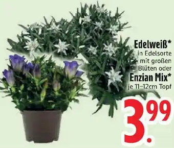 Edeka Edelweiß oder Enzian Mix Angebot