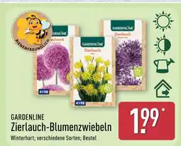 Aldi Nord Gardenline zierlauch-blumenzwiebeln Angebot