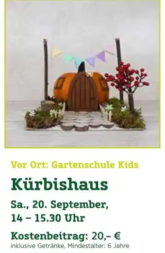 Pflanzen Kölle Kürbishaus Angebot