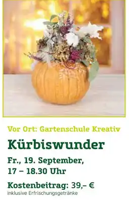Pflanzen Kölle Kürbiswunder Angebot