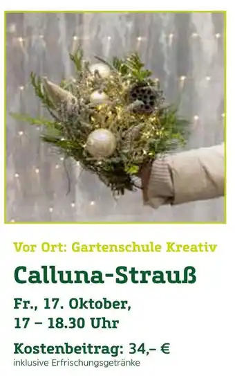 Pflanzen Kölle Calluna-strauß Angebot