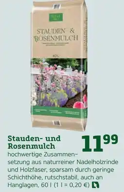Pflanzen Kölle Stauden- und rosenmulch Angebot