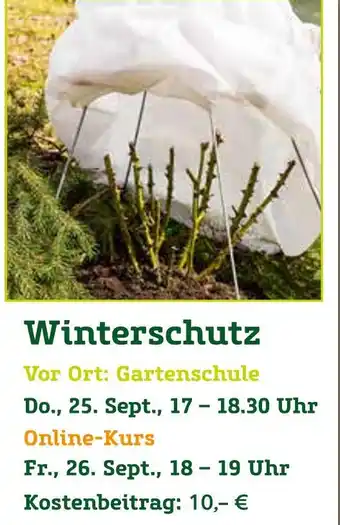 Pflanzen Kölle Winterschutz Angebot