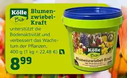 Pflanzen Kölle Kölle bio blumenzwiebel-kraft Angebot