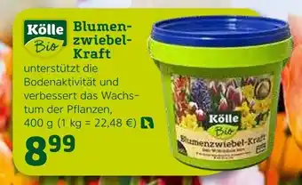 Pflanzen Kölle Kölle bio blumenzwiebel-kraft Angebot