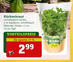 Pflanzen Kölle Kölle bio küchenkraut basilikum Angebot