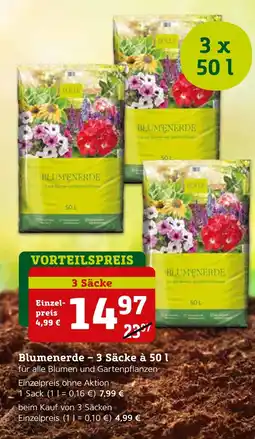 Pflanzen Kölle Blumenerde Angebot