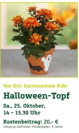 Pflanzen Kölle Halloween-topf Angebot