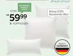 XXXLutz Bio:vio kopfkissen „baffin“ oder 3-kammer-kopfkissen „baffin“ Angebot