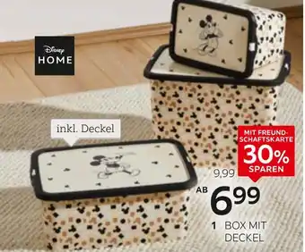 XXXLutz Disney home box „mickey mouse“ Angebot