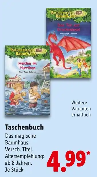 Lidl Das magische baumhaus taschenbuch Angebot