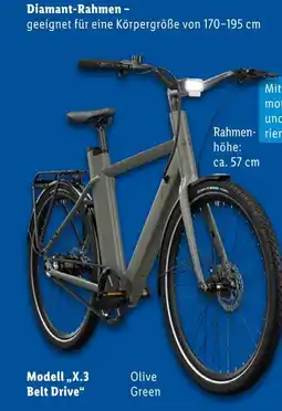 Lidl Diamant-rahmen modell x.3 belt drive Angebot