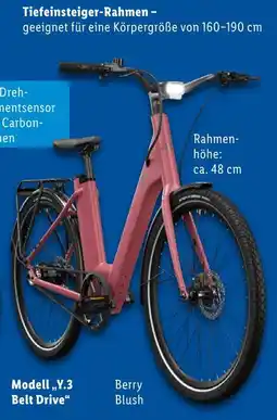 Lidl Tiefeinsteiger-rahmen modell „y.3 belt drive“ Angebot
