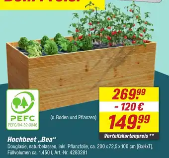 toom Baumarkt Hochbeet ,,Bea" Angebot