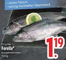 Edeka Frische Forelle Angebot