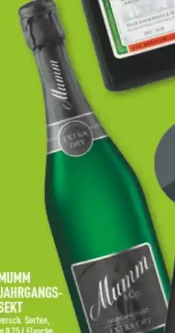 Marktkauf Mumm & Co. Jahrgangssekt Angebot