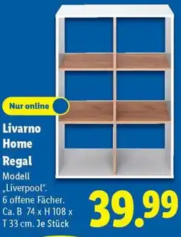 Lidl Livarno Home Regal Angebot