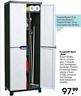 Hellweg Kunststoff-spint „elite“ Angebot