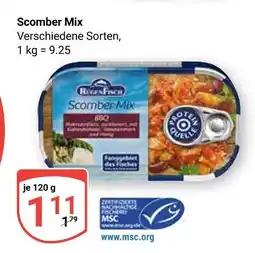 Globus Rügen fisch scomber mix Angebot