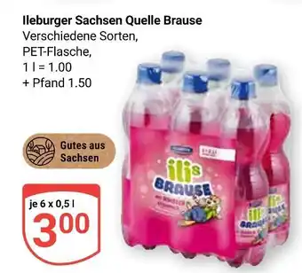 Globus Ileburger sachsen quelle brause Angebot