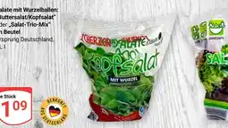 Globus Scherzer salate kopfsalat mit wurzel Angebot