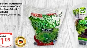 Globus Scherzer salate kopfsalat mit wurzel Angebot