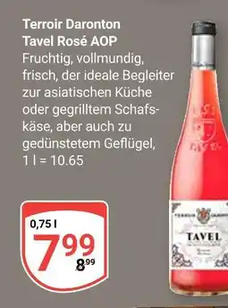 Globus Terroir daronton tavel rosé aop Angebot