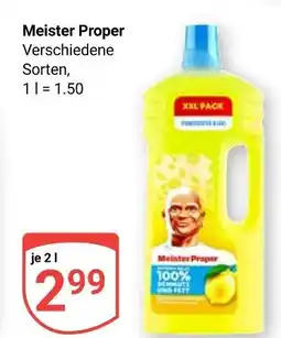 Globus Meister proper meister proper Angebot