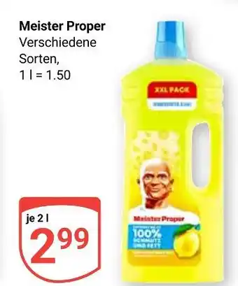 Globus Meister proper meister proper Angebot