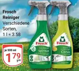 Globus Frosch reiniger spiritus Angebot