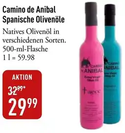 Galeria Markthalle Camino de Anibal Spanische Olivenöle Angebot