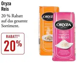 Galeria Markthalle Oryza Reis Angebot