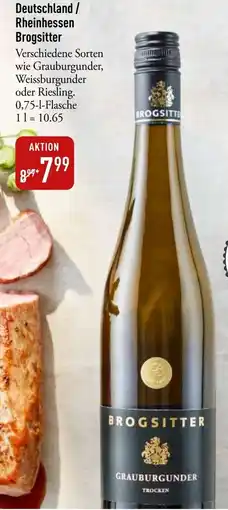 Galeria Markthalle Deutschland/ Rheinhessen Brogsitter Angebot