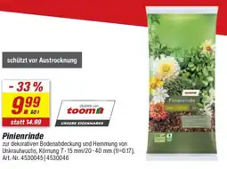 toom Baumarkt toom Pinienrinde Angebot