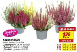 toom Baumarkt Knospenheide Angebot