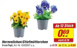toom Baumarkt Hornveilchen/Stiefmütterchen Angebot