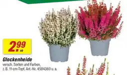 toom Baumarkt Glockenheide Angebot
