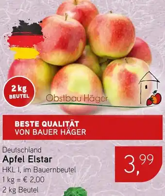 Dornseifer Apfel Elstar Angebot