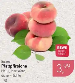 Dornseifer Plattpfirsiche Angebot