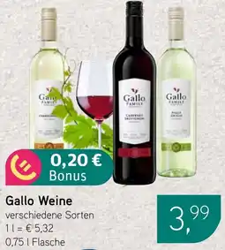 Dornseifer Gallo Weine Angebot