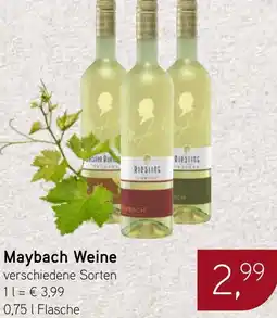 Dornseifer Maybach Weine Angebot