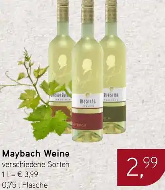 Dornseifer Maybach Weine Angebot