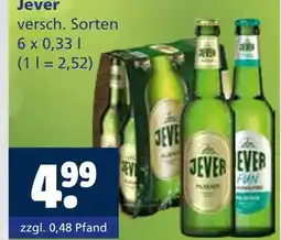 Getränkewelt Jever versch. sorten Angebot