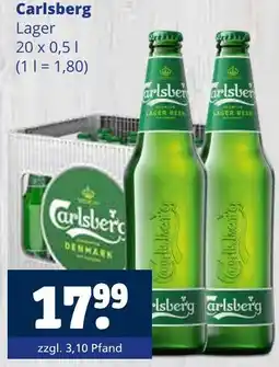 Getränkewelt Carlsberg lager Angebot