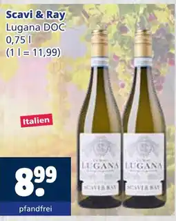 Getränkewelt Scavi & ray lugana doc Angebot